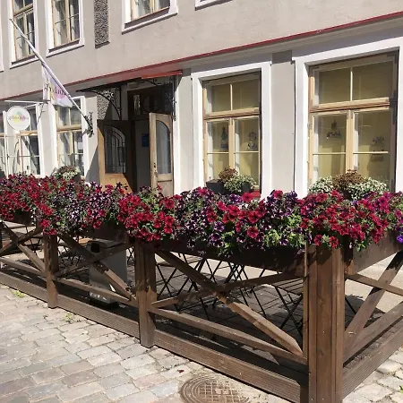 Lägenhet Old Town Apartment, Uus 28