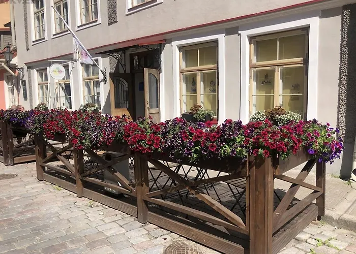 Appartement Old Town Apartment, Uus 28